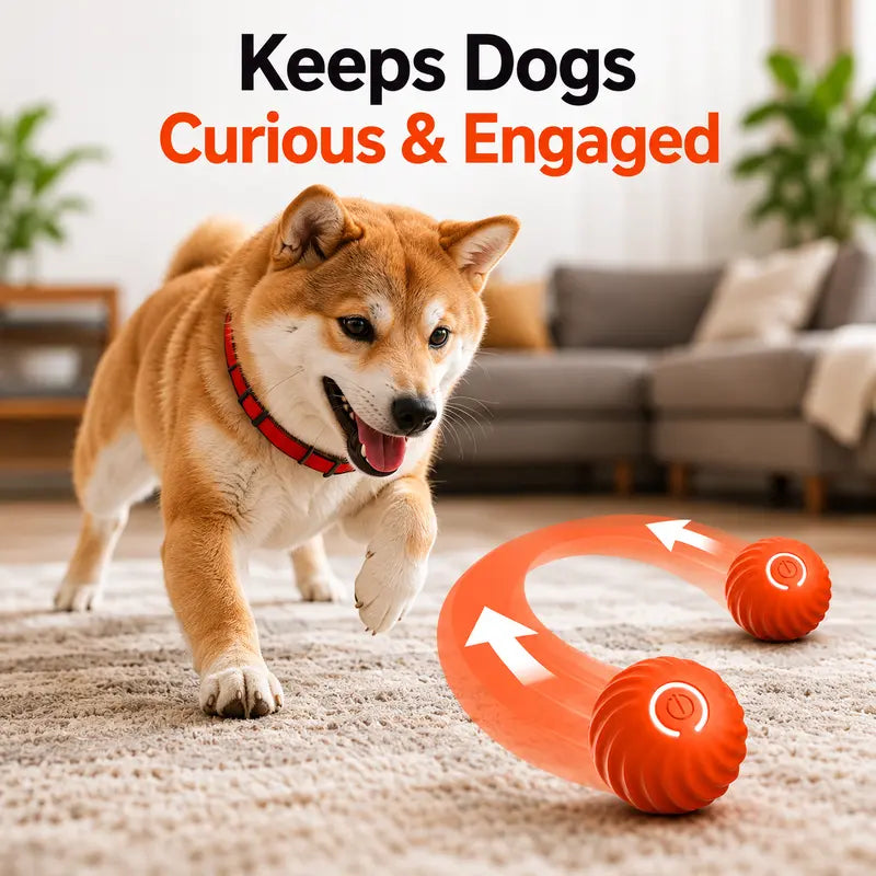 Interactive Dog Ball, 2.2-Inch Motion-Activated Automatic Rolling & Bouncing Ball, USB Rechargeable Durable Indoor & Outdoor Pet Toy for Dogs