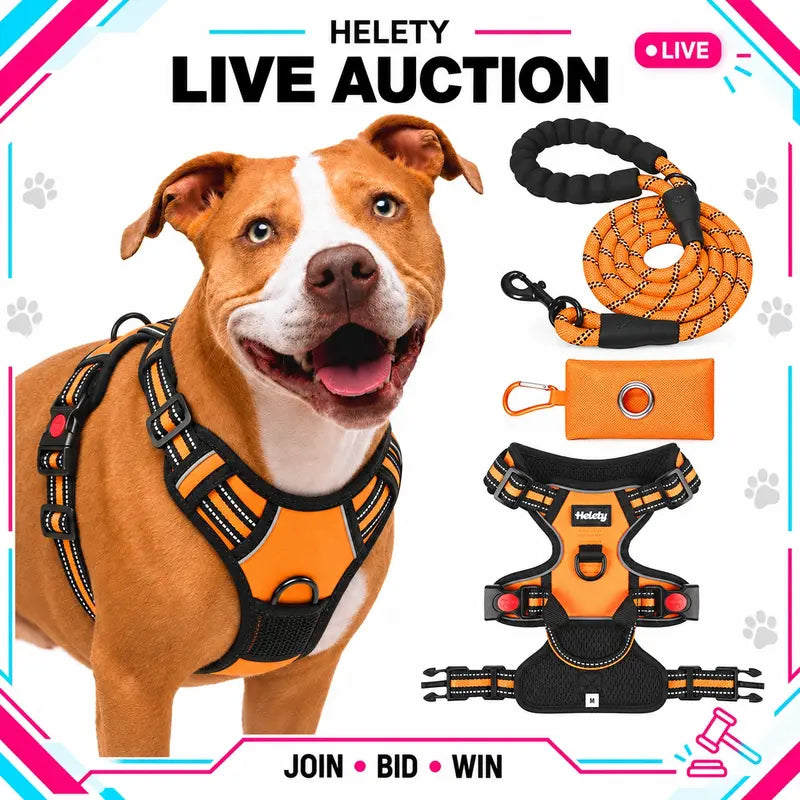 HELETY 3-In-1 No-Pull Dog Vest Harness Set with Padded Handle, Dog Harness, Leash and Poop Bag Holder, Adjustable for Small, Medium & Large Dogs, Harness & Leash
