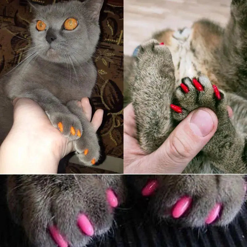 20Pcs High-Quality Rubber Cat Claw Covers - Soft Comfortable Pet Nail Protectors with Free Adhesive Glue, 1 Bag Nail Caps, Fits Snugly like a Glove, Safe Wear, Multi-Size for Kitten Grooming Supplies, Protects from Scratching