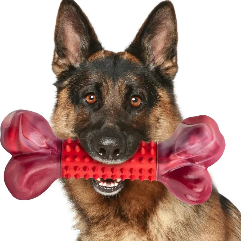 Apasiri Tough Beef-Flavored Nylon & Rubber Dog Chew Bone, 8" Chew Toy for Medium to Large Aggressive Chewer Dogs