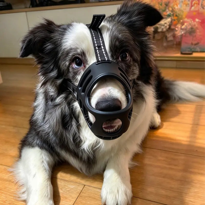 Dog Soft TPU Adjustable Basket Muzzle - Breathable, Humane Mouth Cover for Large/Medium/Small Breeds, Prevents Biting & Scavenging, Discourages Nipping, Allows Free Drinking (Fits Border Collie)