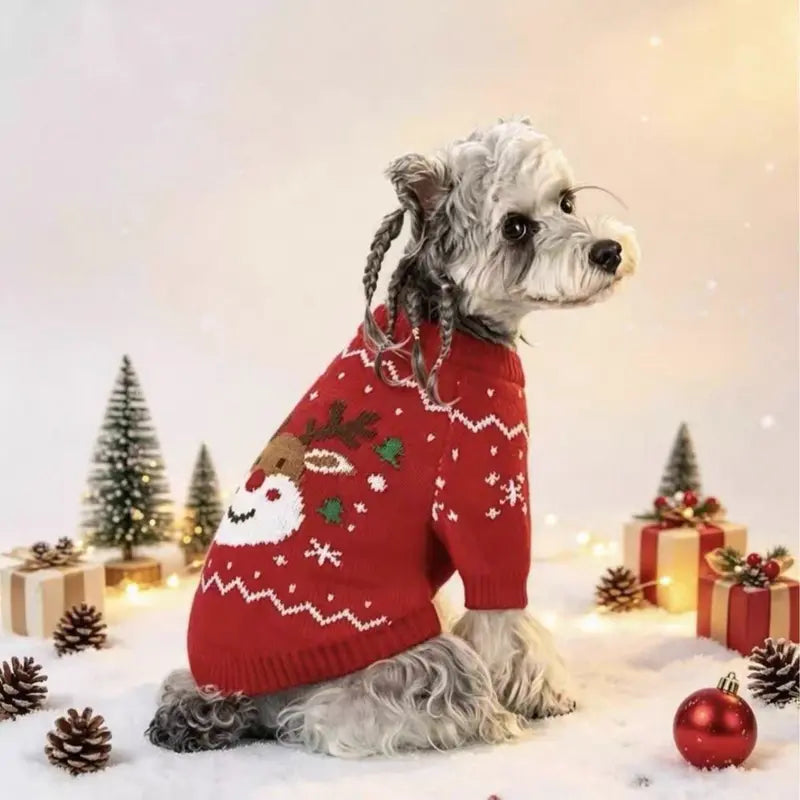 AUROTH Halloween Knitted Pet Sweater for Small/Medium Dogs & Cats, Cozy Fabric Outfit with Pumpkin Print & Ghost Pattern, Warmth Boost Fall Clothing