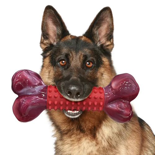 Apasiri Tough Beef-Flavored Nylon & Rubber Dog Chew Bone, 8" Chew Toy for Medium to Large Aggressive Chewer Dogs