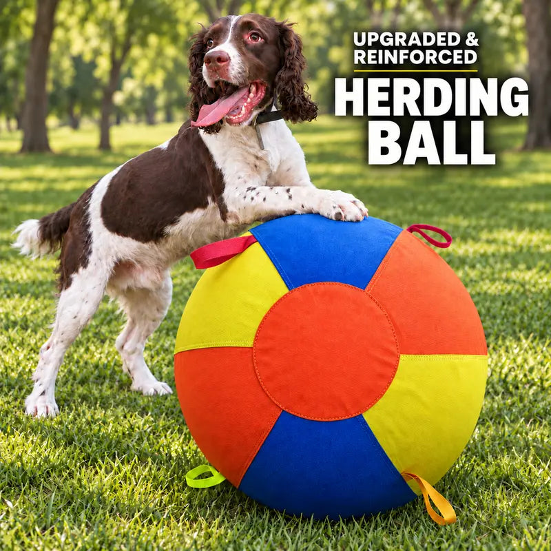 Heavy Duty 22" Herding Play Ball for Large Dogs - Thick Bladder, 6 Grab Tabs, Reinforced Nylon Stitching, Quick-Inflation Design, Long-Lasting Puncture Resistance - Outdoor Chase Dog Toy Interactive Training