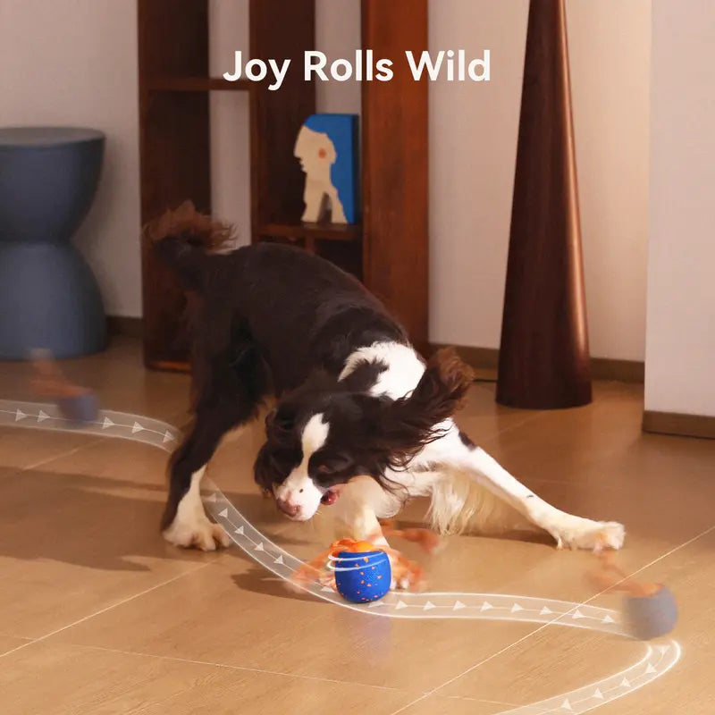Cheerble Smart Interactive Dog Toy, Wicked Ball Rolly, Automatic Moving, Bouncing, Rotating, E-TPU Material, Active Rolling Interactive Dog Ball for Medium and Large Dogs Petlovers