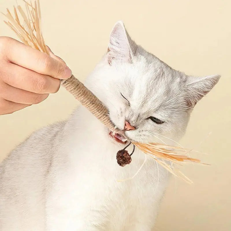 Premium Natural Silvervine-Matatabi Cat Chew Stick Toy - Bite-Resistant, Edible Natural Fiber Toy for Dental Health, Stress Relief, Safe Chewing (Catnip Alternative Oral Care Supply)