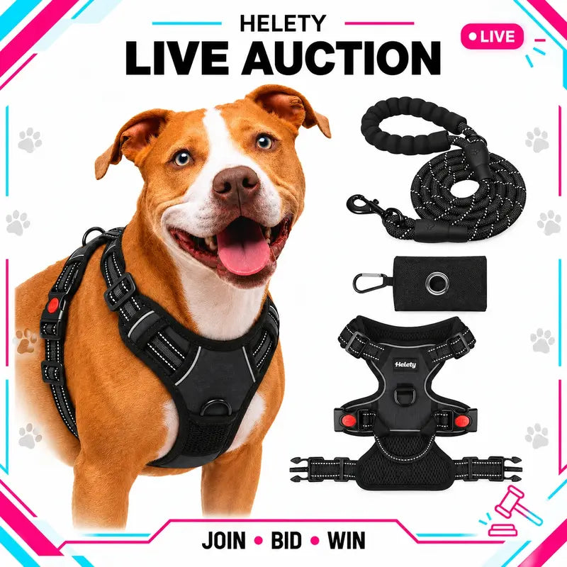HELETY 3-In-1 No-Pull Dog Vest Harness Set with Padded Handle, Dog Harness, Leash and Poop Bag Holder, Adjustable for Small, Medium & Large Dogs, Harness & Leash