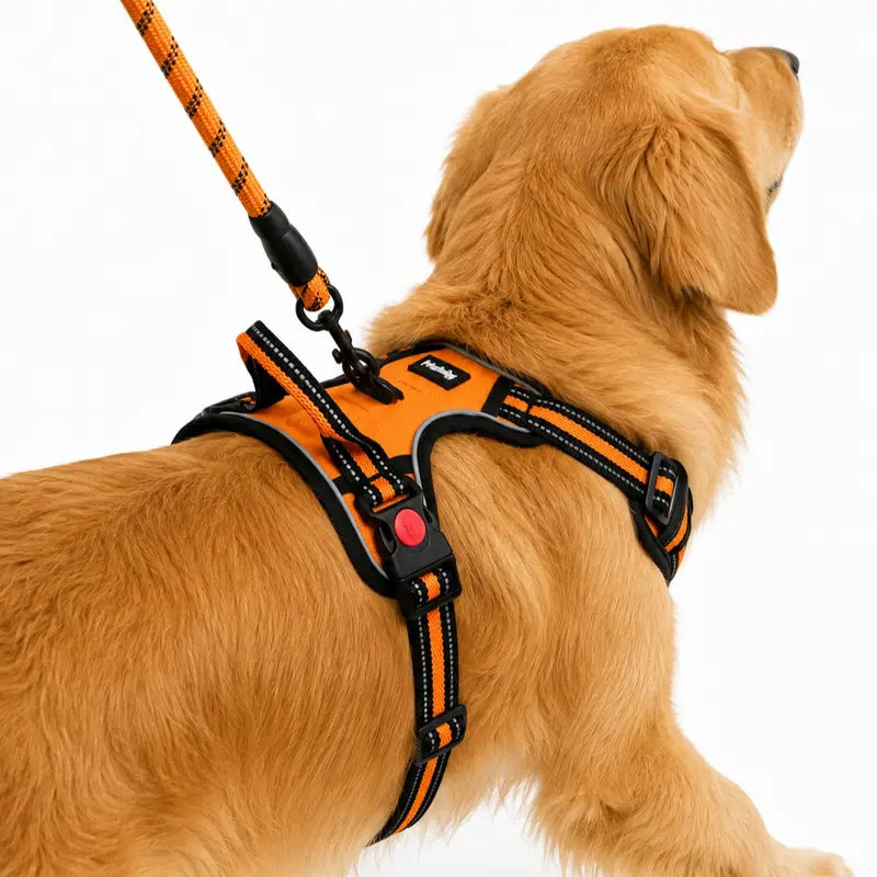 HELETY 3-In-1 No-Pull Dog Vest Harness Set with Padded Handle, Dog Harness, Leash and Poop Bag Holder, Adjustable for Small, Medium & Large Dogs, Harness & Leash