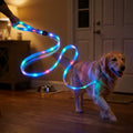 LED Light-Up Pet Leash with 5-Color Light Strip, Glowing Safety Dog Collar, USB Rechargeable Personalized Harness for Puppies