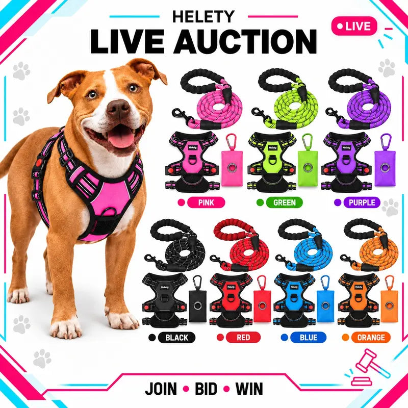 HELETY 3-In-1 No-Pull Dog Vest Harness Set with Padded Handle, Dog Harness, Leash and Poop Bag Holder, Adjustable for Small, Medium & Large Dogs, Harness & Leash