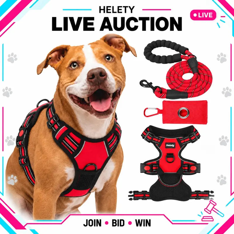 HELETY 3-In-1 No-Pull Dog Vest Harness Set with Padded Handle, Dog Harness, Leash and Poop Bag Holder, Adjustable for Small, Medium & Large Dogs, Harness & Leash