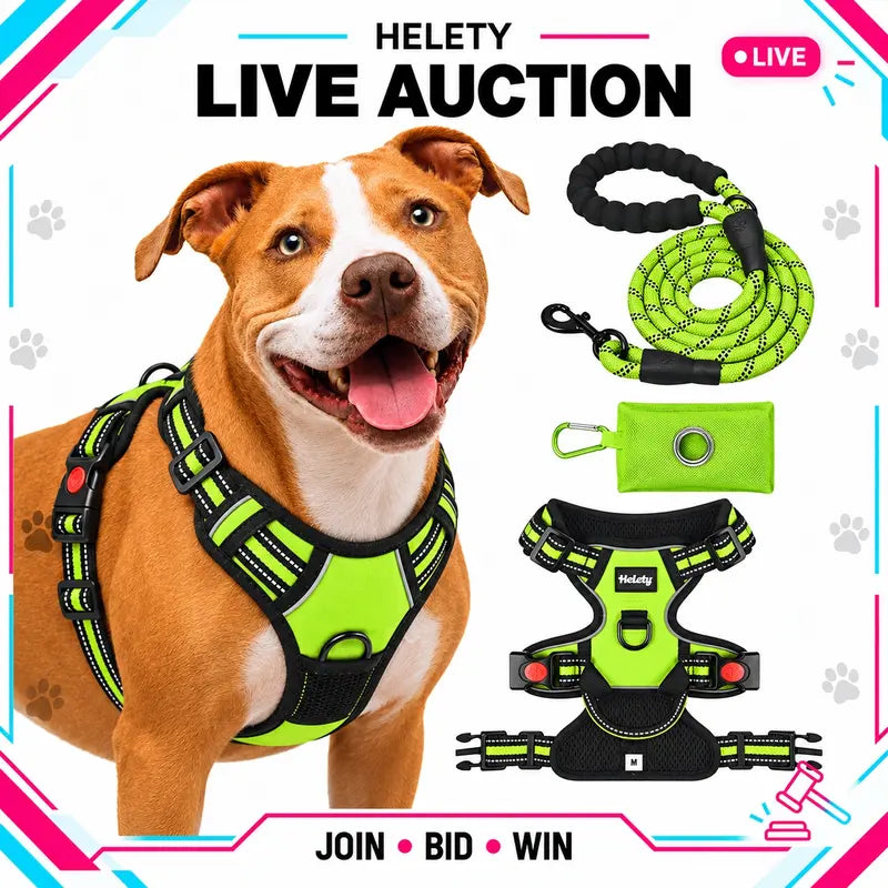 HELETY 3-In-1 No-Pull Dog Vest Harness Set with Padded Handle, Dog Harness, Leash and Poop Bag Holder, Adjustable for Small, Medium & Large Dogs, Harness & Leash