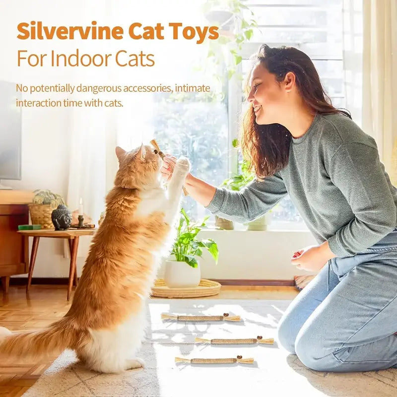 Premium Natural Silvervine-Matatabi Cat Chew Stick Toy - Bite-Resistant, Edible Natural Fiber Toy for Dental Health, Stress Relief, Safe Chewing (Catnip Alternative Oral Care Supply)