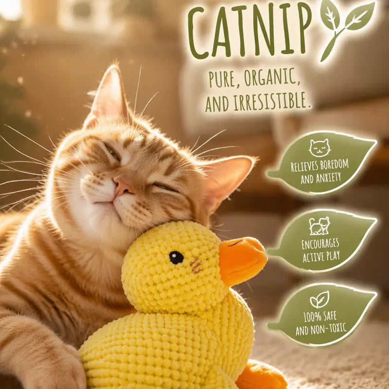 UQIOZ New Catnip Plush Cat Toy - Universal Size Interactive Wand, Chew-Resist Boredom Buster, Crinkle Sound Teething Pet Supply for Cat Lovers