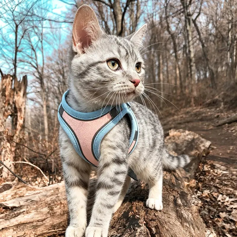 Escape Proof Cat Harness and Leash Set Pack - Adjustable, Soft Mesh Fabric, Lightweight, Sturdy Lock, Stress-Free for Small/Medium Cats (Solid Colors)