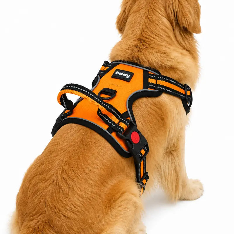 HELETY 3-In-1 No-Pull Dog Vest Harness Set with Padded Handle, Dog Harness, Leash and Poop Bag Holder, Adjustable for Small, Medium & Large Dogs, Harness & Leash