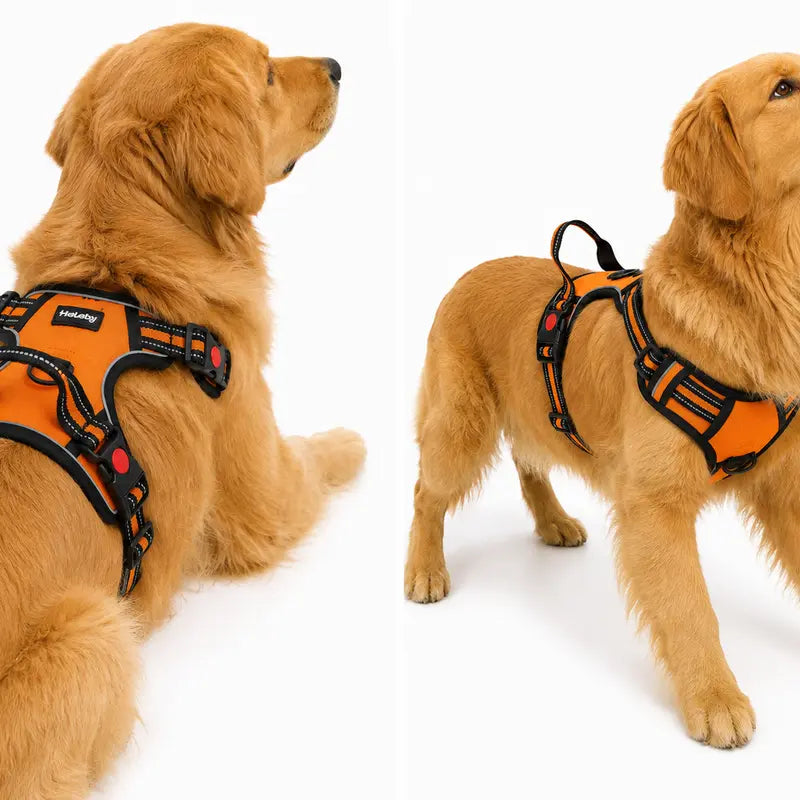 HELETY 3-In-1 No-Pull Dog Vest Harness Set with Padded Handle, Dog Harness, Leash and Poop Bag Holder, Adjustable for Small, Medium & Large Dogs, Harness & Leash