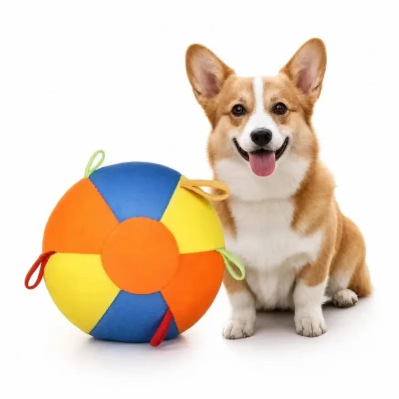 Heavy Duty 22" Herding Play Ball for Large Dogs - Thick Bladder, 6 Grab Tabs, Reinforced Nylon Stitching, Quick-Inflation Design, Long-Lasting Puncture Resistance - Outdoor Chase Dog Toy Interactive Training
