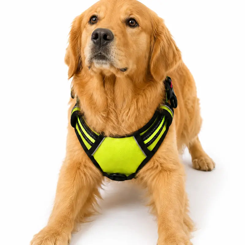 HELETY 3-In-1 No-Pull Dog Vest Harness Set with Padded Handle, Dog Harness, Leash and Poop Bag Holder, Adjustable for Small, Medium & Large Dogs, Harness & Leash