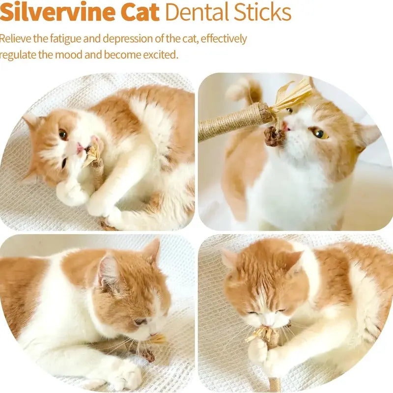 Premium Natural Silvervine-Matatabi Cat Chew Stick Toy - Bite-Resistant, Edible Natural Fiber Toy for Dental Health, Stress Relief, Safe Chewing (Catnip Alternative Oral Care Supply)