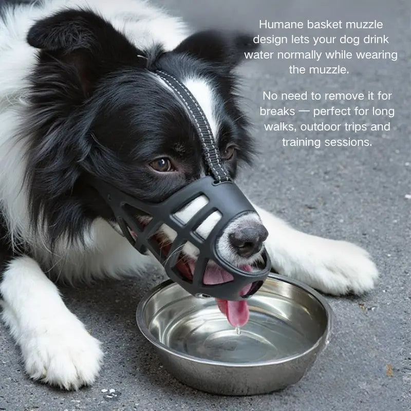 Dog Soft TPU Adjustable Basket Muzzle - Breathable, Humane Mouth Cover for Large/Medium/Small Breeds, Prevents Biting & Scavenging, Discourages Nipping, Allows Free Drinking (Fits Border Collie)