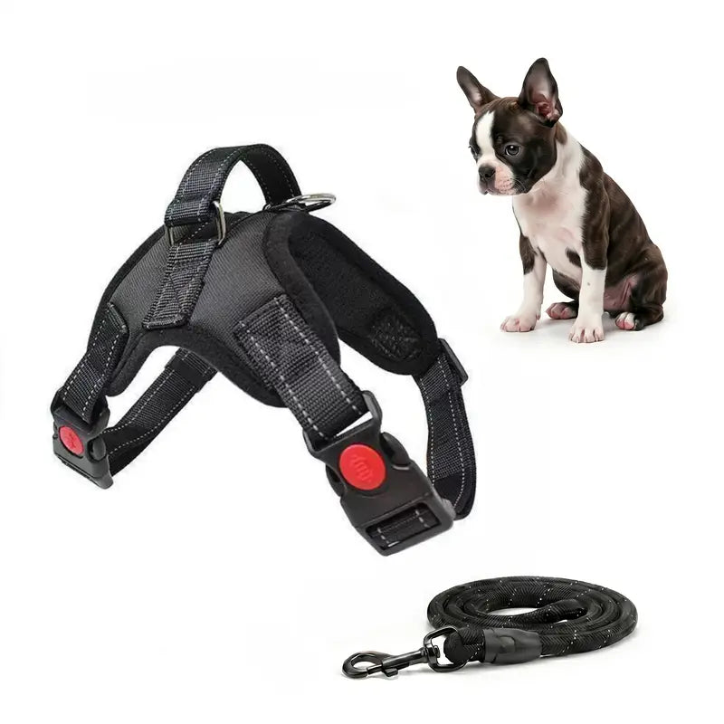 Dog Harness & Leash Set - 5FT Leash Included, Nylon Mesh, No Pull, Durable, Reflective, Choke-Free Design, Chew Resistant, Adjustable, Breathable, Easy On/Off, Waterproof for Hiking, Puppy Daily Walks, S, M
