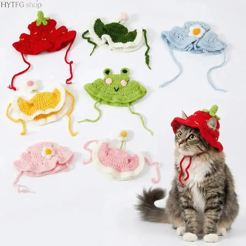 4-Pack Frog-Themed Hand-Knitted Pet Hats, Lightweight Polyester Headwear with Adjustable Strap, Full-Coverage Easy-Wear Warm Accessories for Small Cats (Birthday, Holiday)