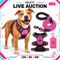 HELETY 3-In-1 No-Pull Dog Vest Harness Set with Padded Handle, Dog Harness, Leash and Poop Bag Holder, Adjustable for Small, Medium & Large Dogs, Harness & Leash