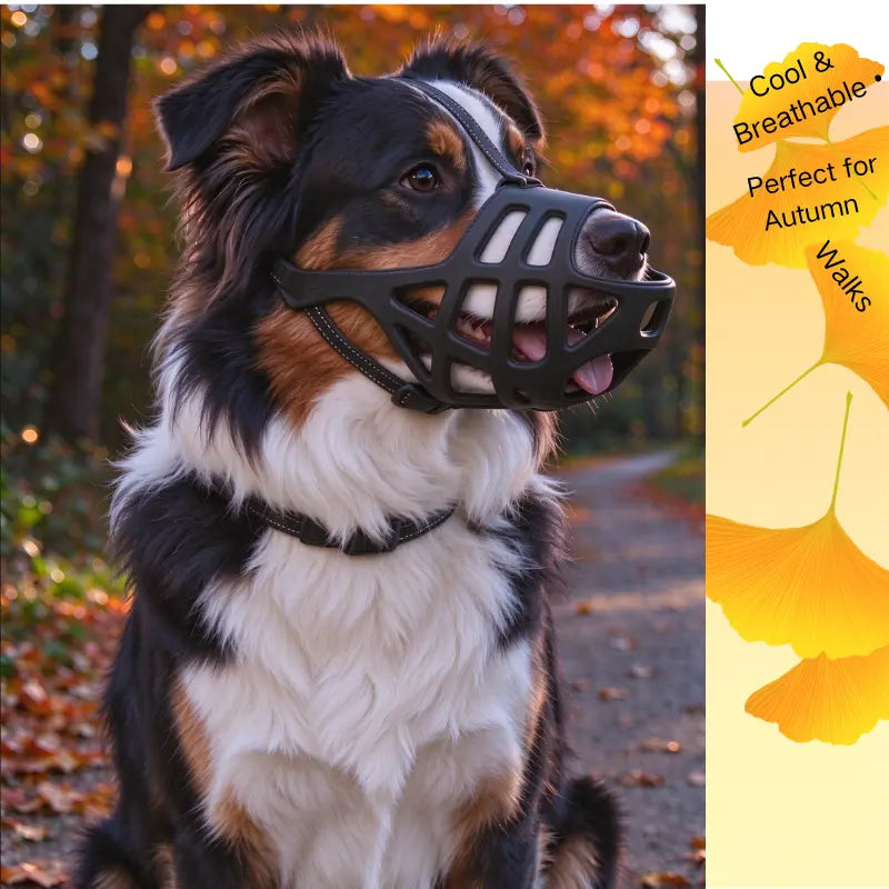 Dog Soft TPU Adjustable Basket Muzzle - Breathable, Humane Mouth Cover for Large/Medium/Small Breeds, Prevents Biting & Scavenging, Discourages Nipping, Allows Free Drinking (Fits Border Collie)